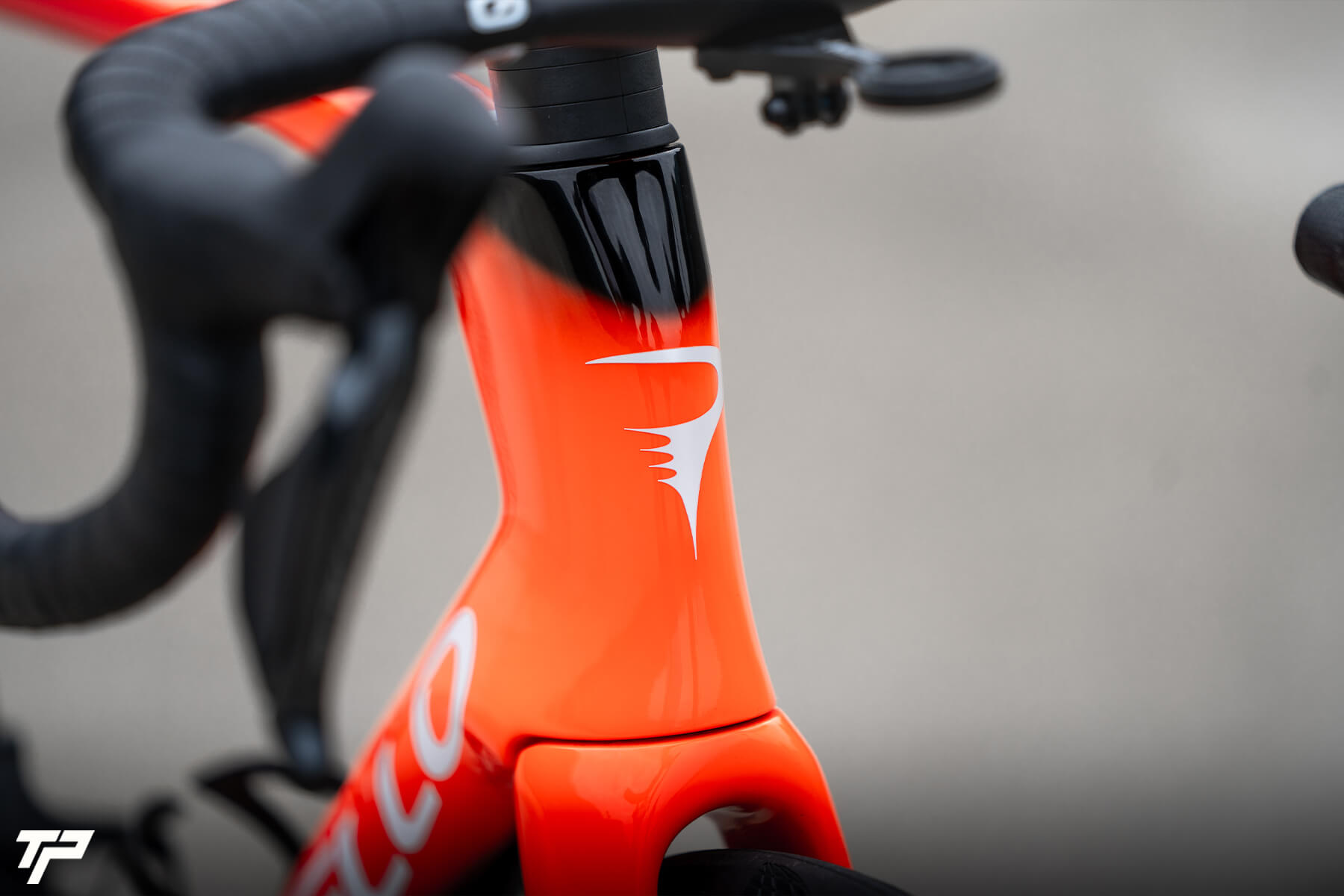 Pinarello New Dogma F: the new Dogma F is here to steal your heart