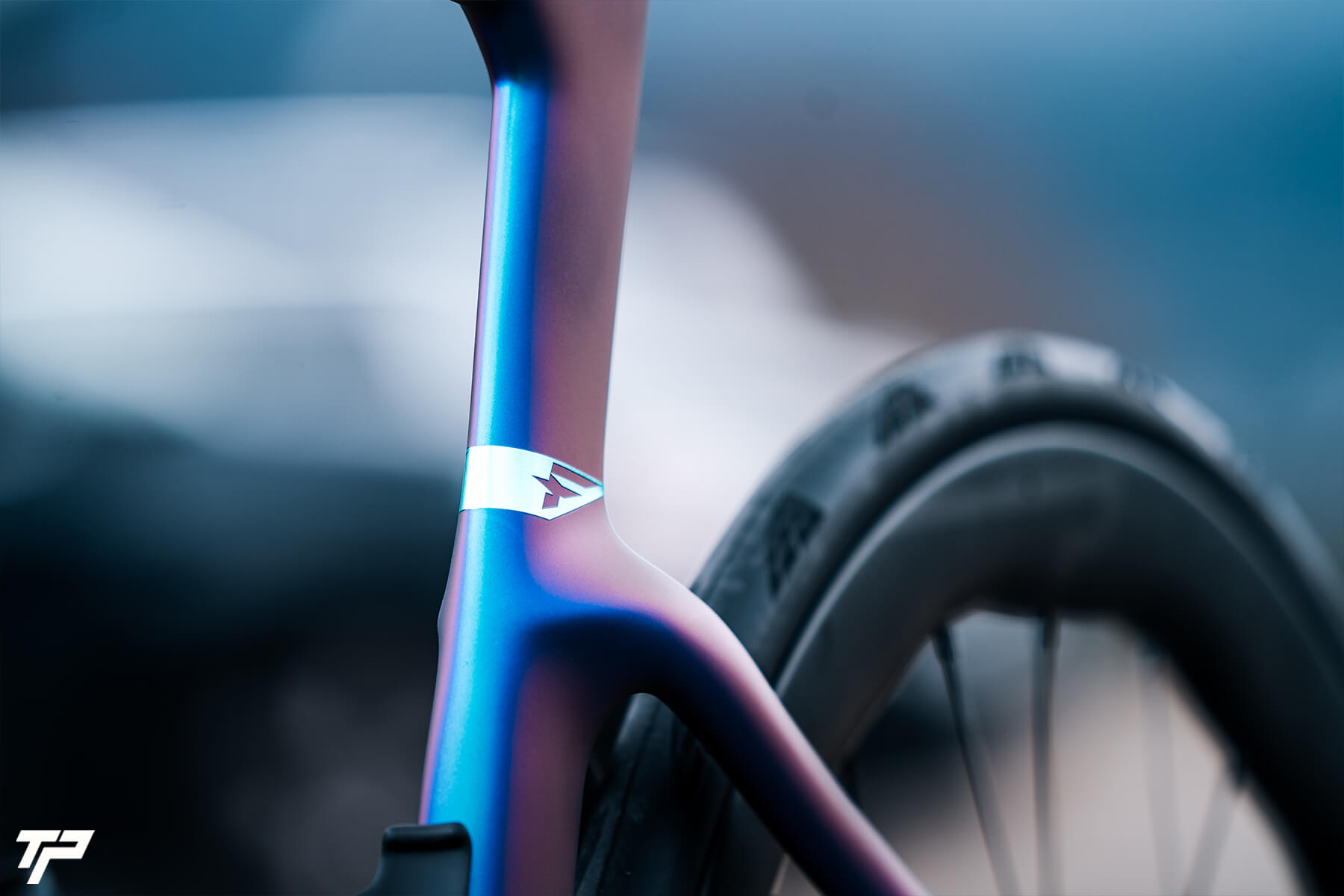 Pinarello New Dogma F: Blue like the night, fast as a comet