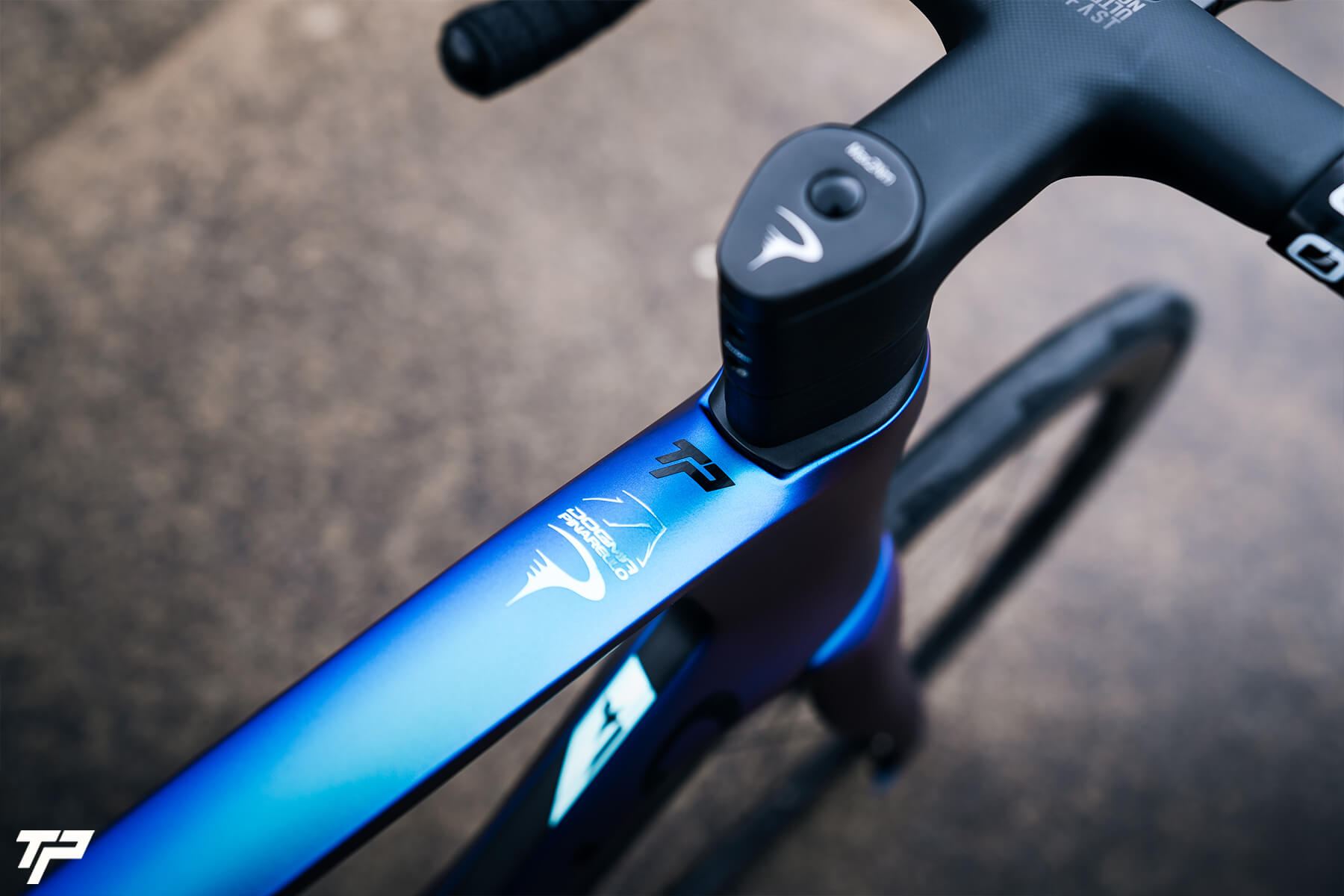 Pinarello New Dogma F: Blue like the night, fast as a comet