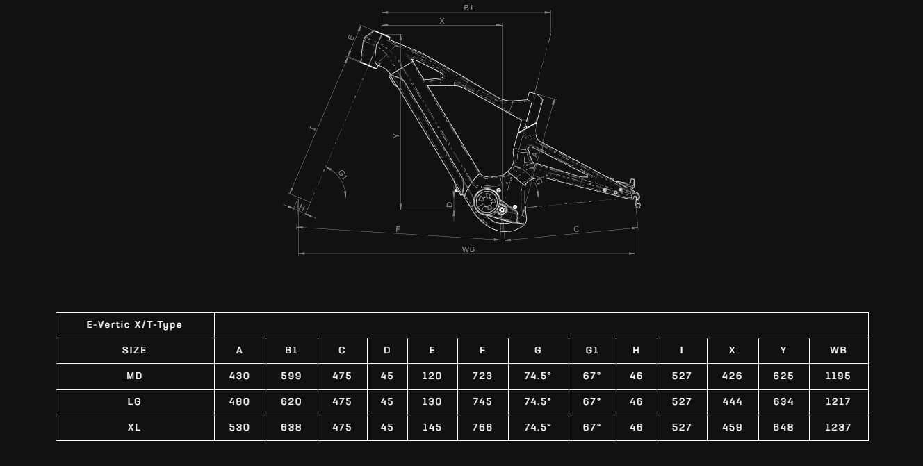 Bianchi E-Vertic T Type Geometria Geometry